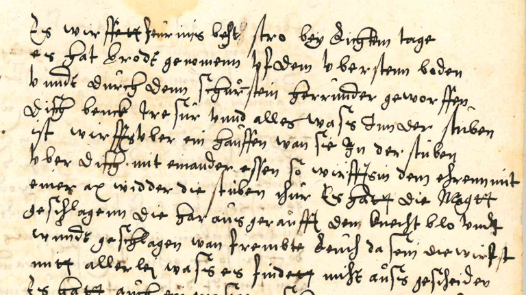 Historisches Schriftstück: Handschrift des 16. Jahrhunderts auf Papier