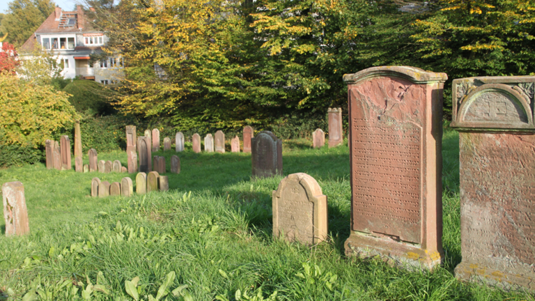 Modernes Foto: Wiese, auf der Grabsteine aus Sandstein mit hebräischer Inschrift stehen, im Hintergrund Bäume und ein Wohnhaus