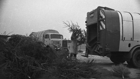Entsorgung von Weihnachtsbäumen durch die Müllabfuhr in Wiesbaden, um 1970 (HHStAW, 3008/47, 3880) Entsorgung von Weihnachtsbäumen durch die Müllabfuhr in Wiesbaden, um 1970 (HHStAW, 3008/47, 3880)