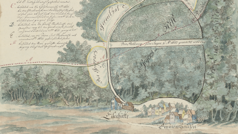 Historische Karte: kolorierte Zeichnung des Waldes "Geyersnest" zwischen Hasselbach und Emmershausen, 18. Jahrhundert (HHStAW, 3011/1, 971 H)