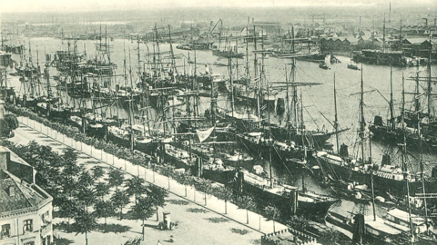 Der Segelschiffhafen in Hamburg: Segelschiffe sind in mehreren Reihen nebeneinander festgemacht, 1912 (HStAD, R 4, 33229)