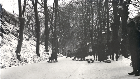 Historisches Foto: Kinder und Erwachsene auf Schlitten in einer Allee, um 1890 (HStAD, O 3, 448/7)