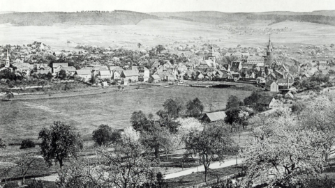 Historisches Foto: Panorama von Erbach im Odenwald, Aufnahme von Joseph Magnus, um 1890 (HStAD, R 4, 27636)