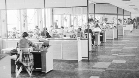 Historisches Foto: Mitarbeiterinnen des Statistischen Bundesamts bei der Bearbeitung von Lochkarten (HHStAW, 3008/2, 12247)