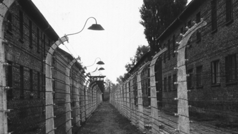 Historisches Foto: Häuser aus Ziegelstein, dazwischen eine Gasse zwischen zwei Elektrozäunen