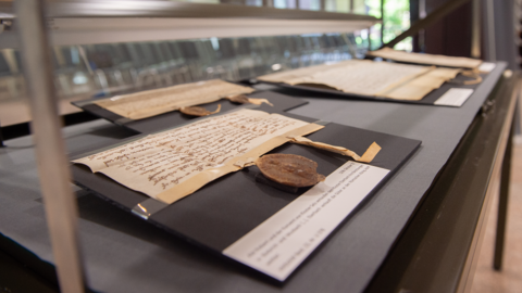 Modernes Foto: Mittelalterliche Urkunde mit Siegel in einer geöffneten Ausstellungsvitrine