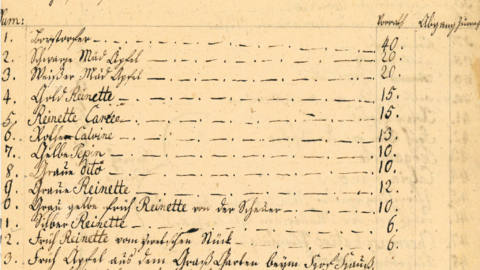 Bestand der Baumschule im Jahr 1788 (HHStAW, 127, 297, Ausschnitt) Historisches Schriftstück: Handschriftliche Tabelle in deutscher und lateinischer Schrift
