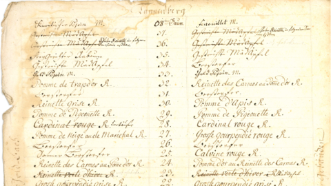 Bepflanzung der Allee zwischen den Dahlbergischen Hecken und der Flur Tannenberg (HHStAW, 127, 297) Historisches Schriftstück: handschriftliche Tabelle in deutscher und lateinischer Schrift