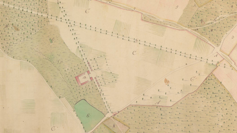 Einsam inmitten von Feldern und Wäldern: Hof Trages bei Somborn, um 1739 (HStAM, Karten, P II, 10440) Historische Karte: schematische Darstellung von Wäldern, Feldern, Alleen und der Hofanlage in Aufsicht