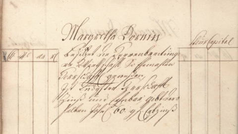 Katastereintrag: Handschrift des 18. Jahrhunderts auf Papier