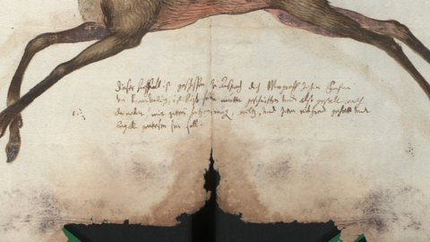 Archivalie: Zeichnung, darunter Schrift und Schäden durch Wasser und schwarzen Schimmel