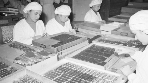 Arbeiterinnen bei Sarotti, 1950 (HHStAW, 3008/2, 22778) Historisches Foto: Arbeiterinnen in weißer Schutzkleidung beim Verpacken von Schokoladentafeln