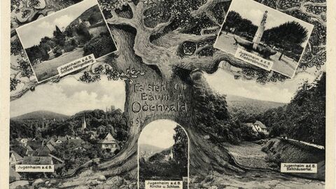 In schwarz-weiß ein Foto von einem großen Baum mit der Aufschrift „Es steht ein Baum im Odenwald“ in den Ästen Einzelansichten aus Jugenheim an der Bergstraße von links nach rechts obere Reihe: Schloss Heiligenberg, Friedensbrunnen, untere Reihe rechts Balkhäusertal 