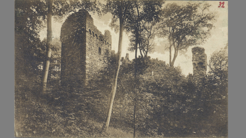 Historisches Foto: Burgruine im Wald