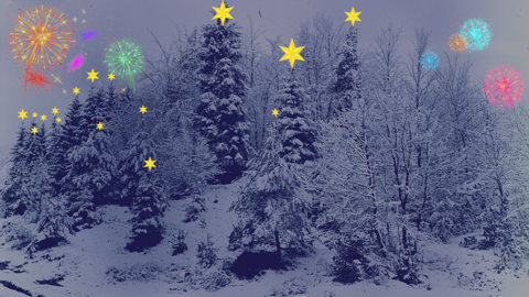 Bearbeitetes Foto: Verschneiter Tannenwald, auf den Baumspitzen nachrtäglich eingefügte Sterne, am Himmel Feuerwerksraketen.