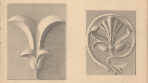 Zeichnung: stilisierte Blüten