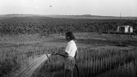 Schwarz-weiß Foto einer jungen Frau die Pflanzen auf einem Feld mit Wasser besprengt