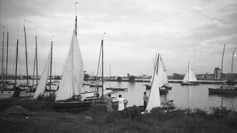 Historisches Foto: Segelboote am Hafen und auf dem Wasser