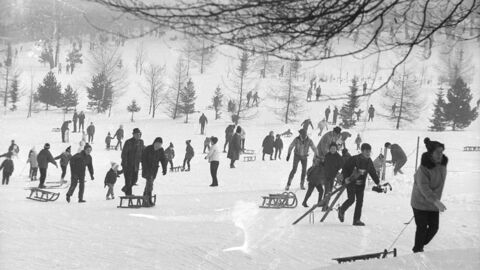 Historisches Foto: Viele Erwachsene und Kinder ziehen Schlitten einen schneebedeckten Hang hoch, im Hintergrund zahlreiche Wintersportler zwischen kleinen Bäumen